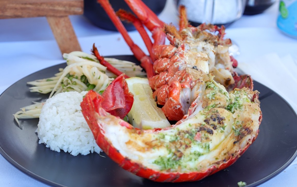 Western Rock Lobster onboard Rottnest Cruises