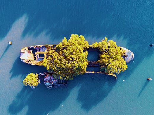 Sydney Secrets | Add The Floating Forest To Your Insta Bucket List | Urban List