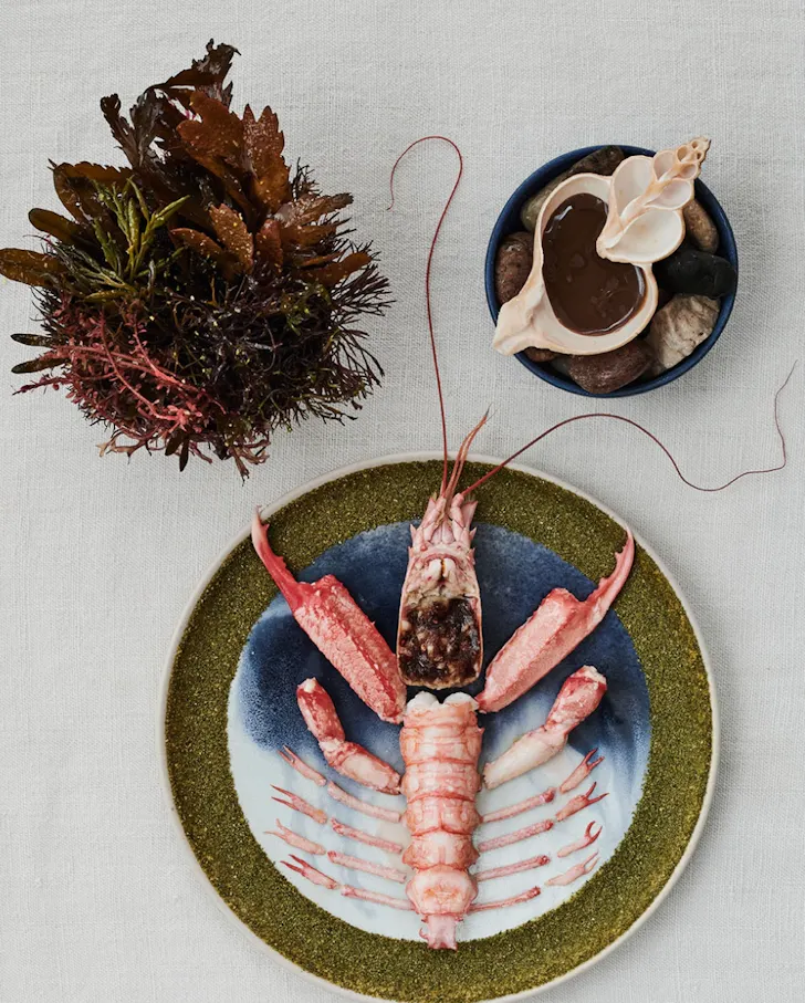 A whole cooked scampi is presented on a ceramic plate with native seaweed, shells and its rich roe, arranged in a refined, ocean-inspired composition.