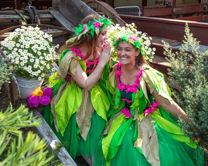 Two fairies in pink and green outfits, whispering in each others ears and smiling amongst white and yellow flowers