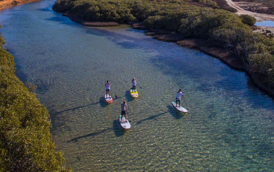 a group of people stand up paddle board in beautiful blue water