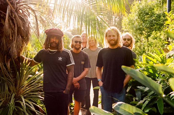 five guys in the middle of the jungle