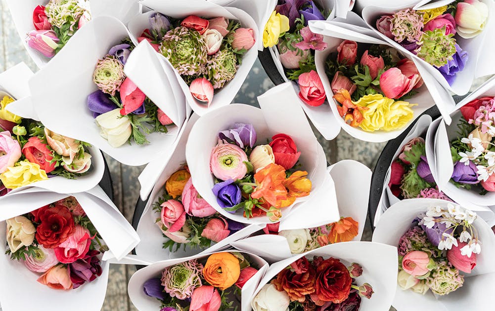 Brisbane’s Best Flower Delivery Services To Spoil Someone Rotten With