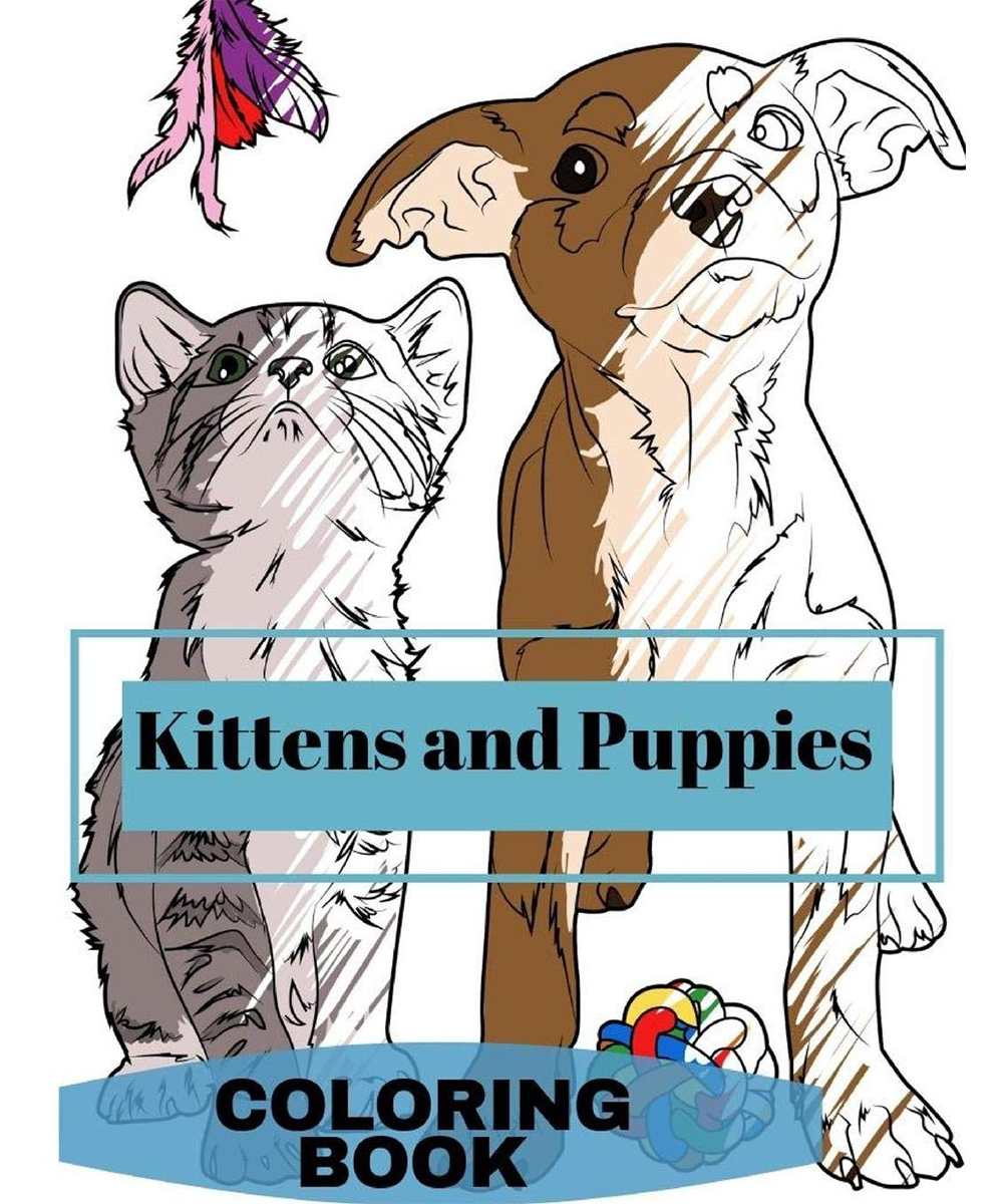 The cover of a colouring in book shows an illustration of a kitten and puppy, partially coloured in.