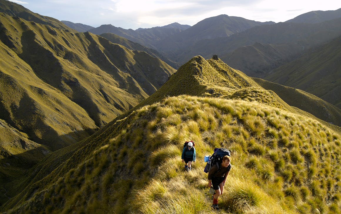 two people hike up huge green mountains in new zealand