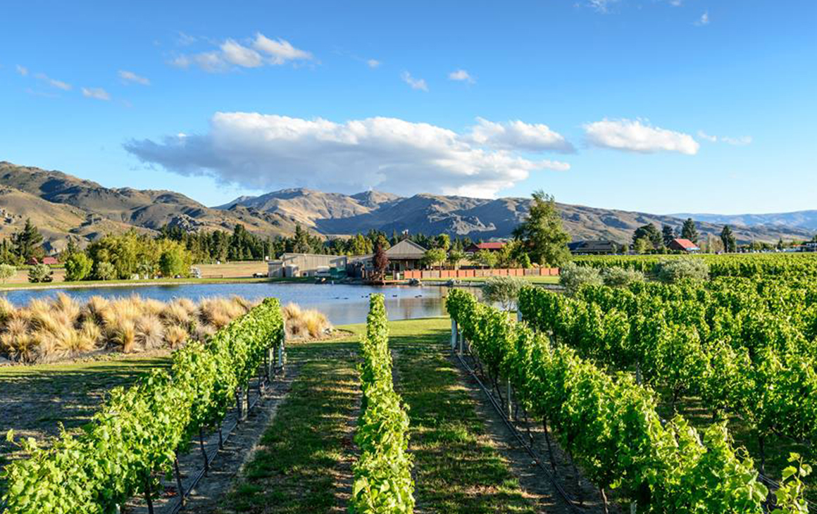 Mt Difficulty, Cloudy Bay Shed & Gibbston Wine Tour - Full Day