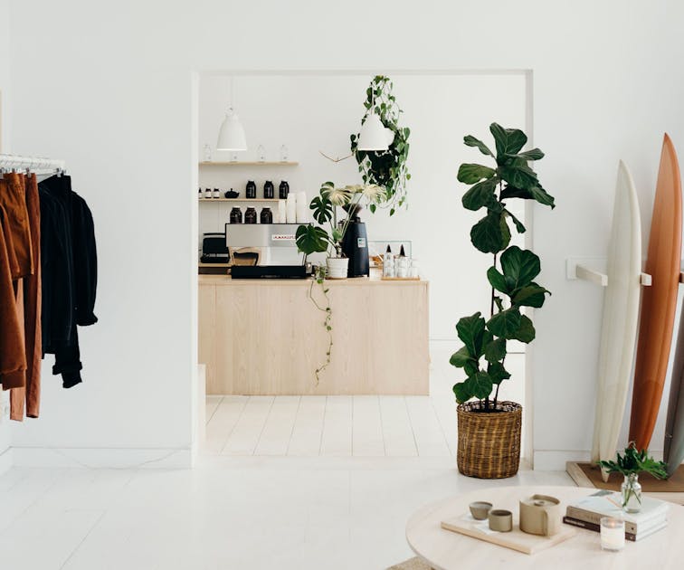 Assembly Label Manly URBAN LIST SYDNEY