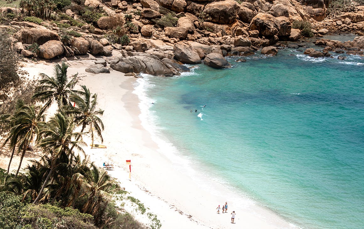 white sand and palm trees line the beach of Horseshoe Bay