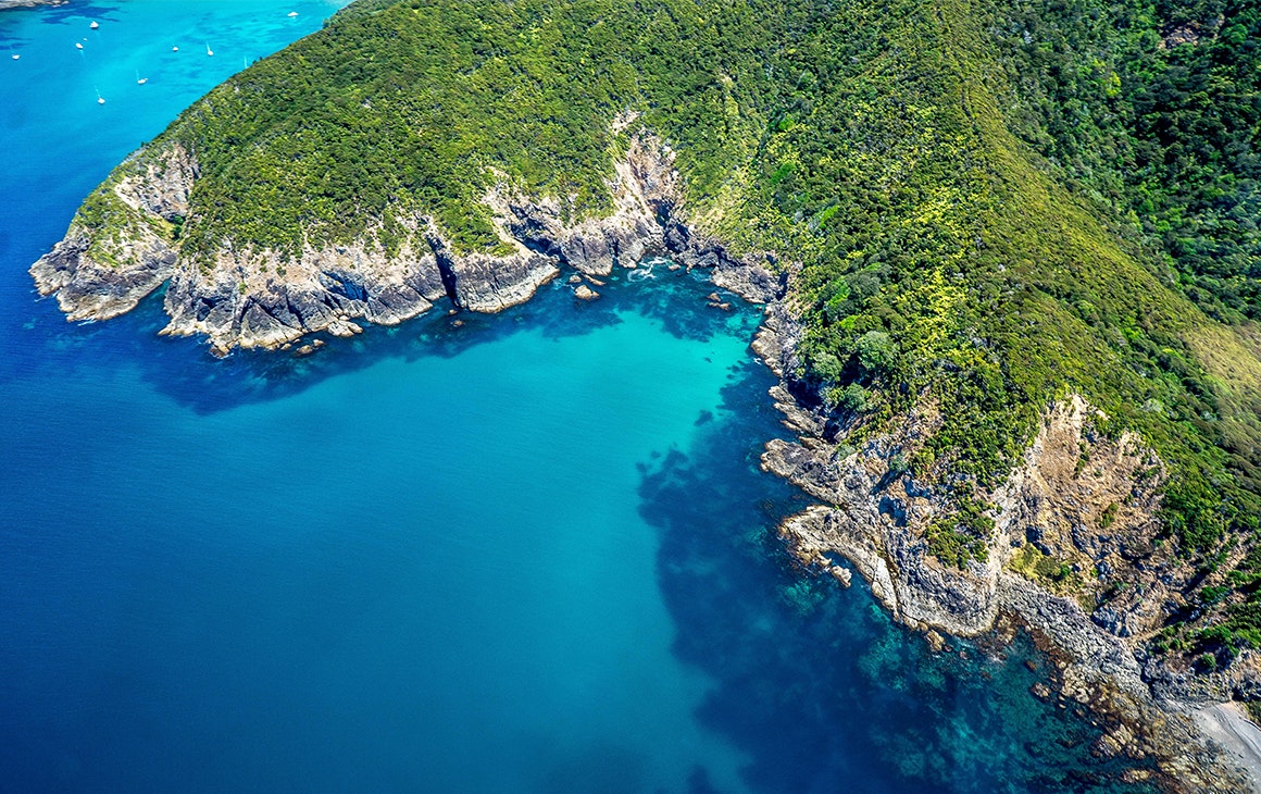 things to do bay of islands