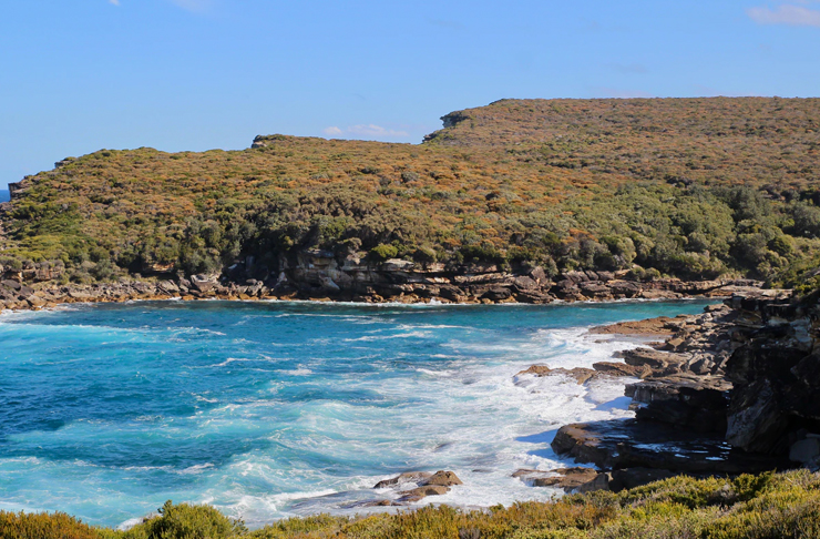 coastal view of garie beach at sydney's royal national park