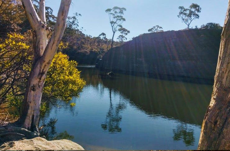 bush dam