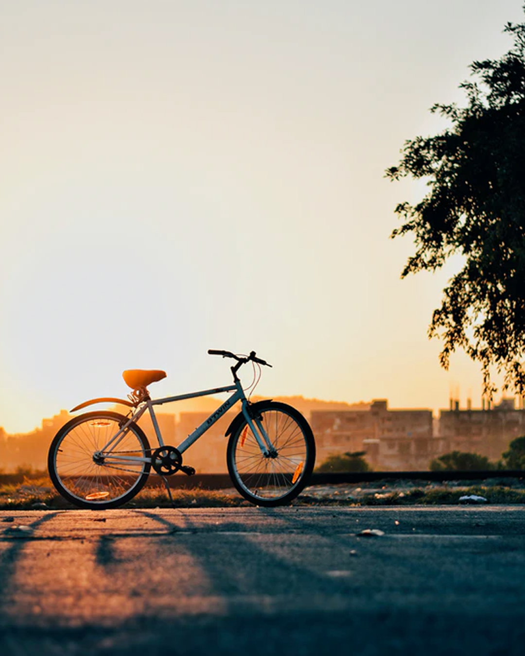 bike parked at sunset overlooking Sydney harbour