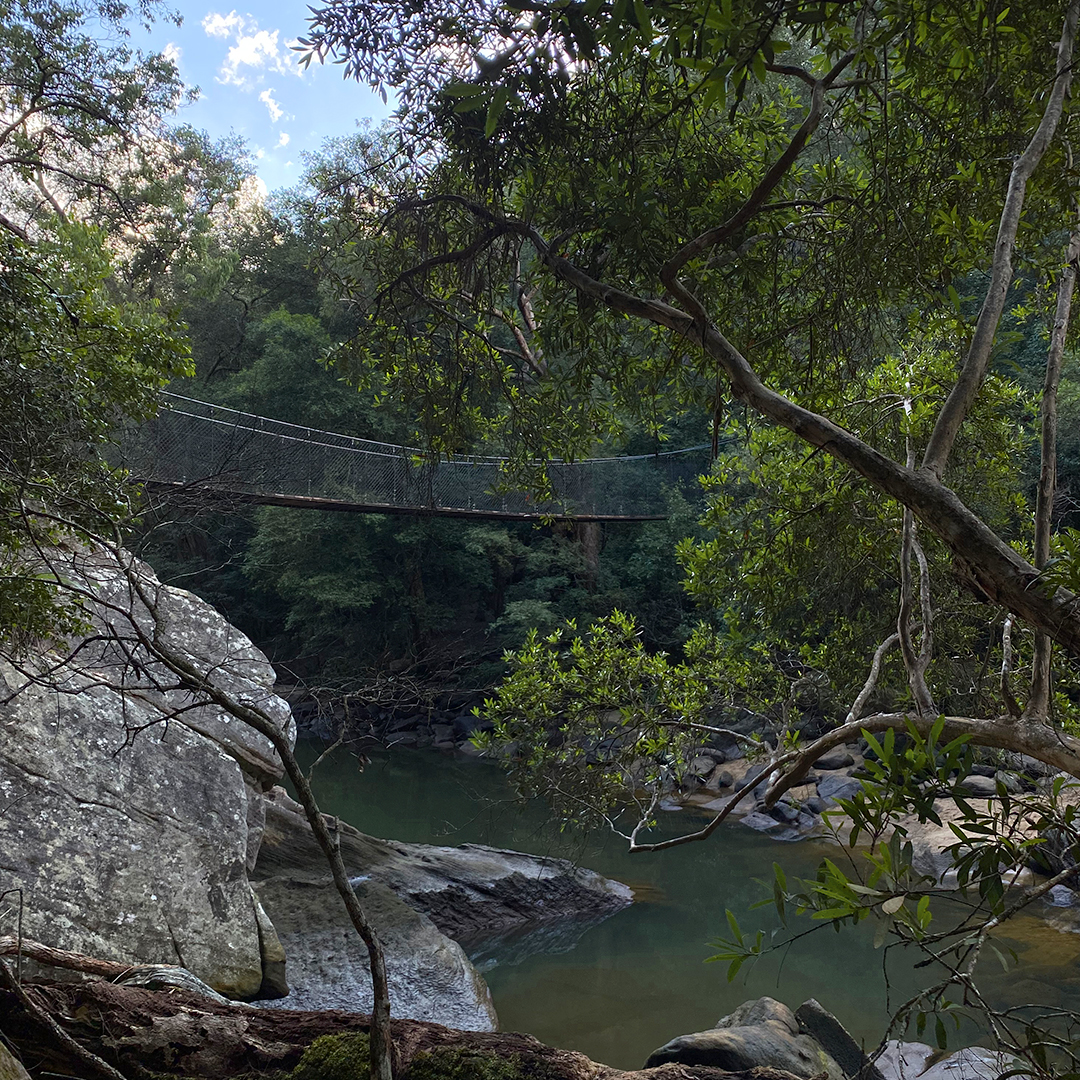 suspension bridge and creek in brisbane water national park