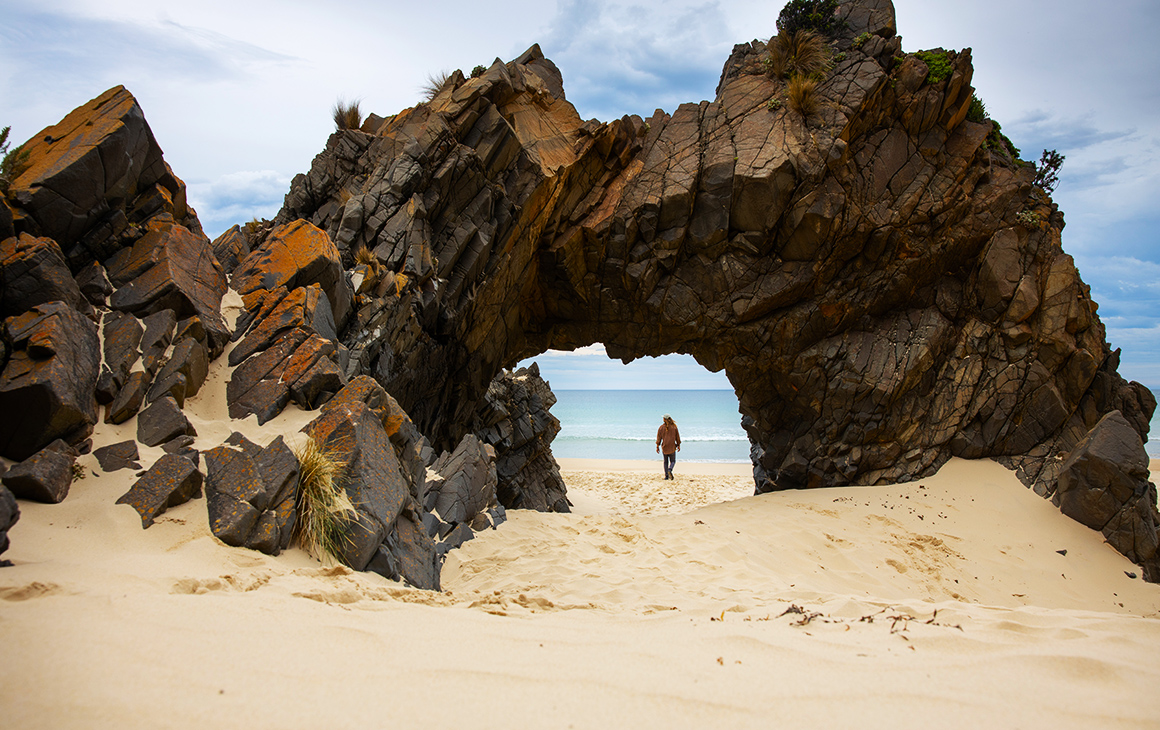 bruny island safari tour