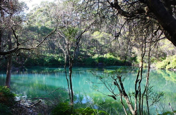 Hop In The Car, This Enchanted Blue Pool Bushwalk Is Just 2 Hours From ...