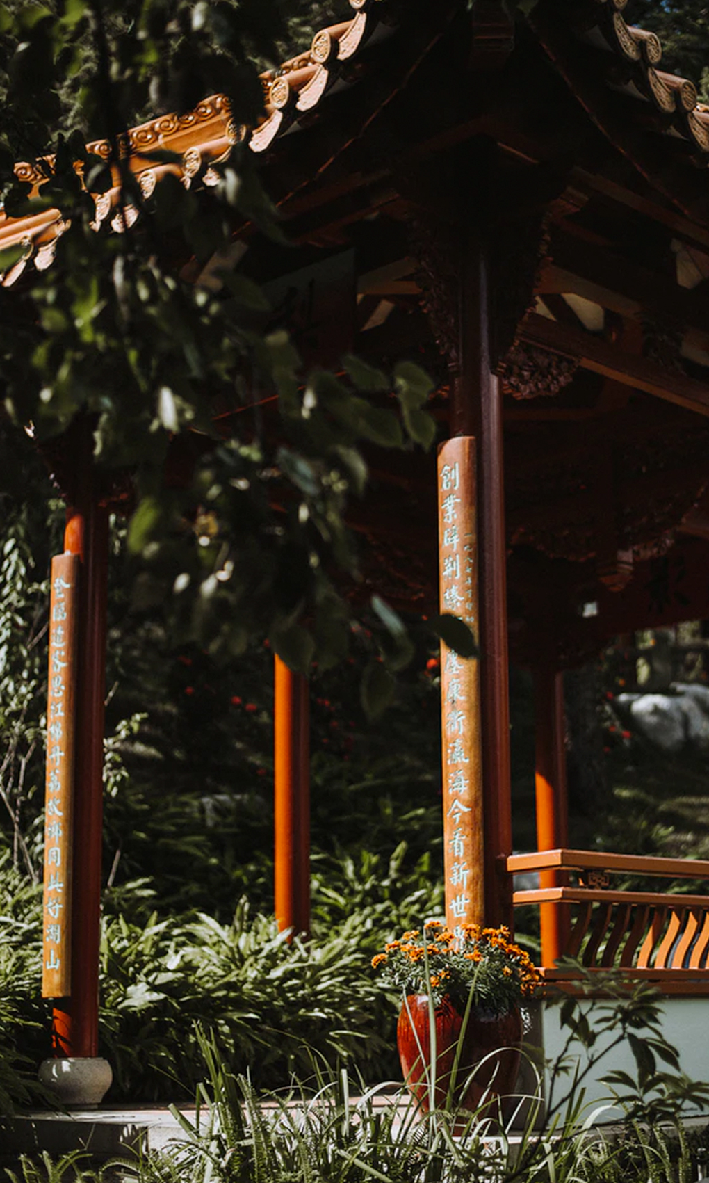 leafy corner of sydney's chinese garden of friendship