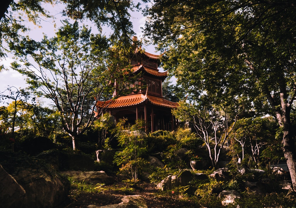 chinese garden of friendship in sydney