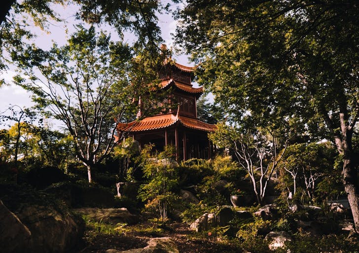 chinese garden of friendship in sydney