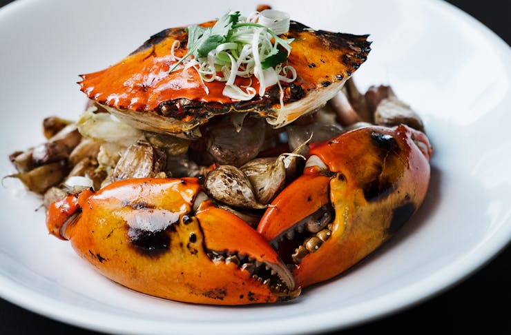 A decadent and Singaporean specialty crab dish on a while plate.