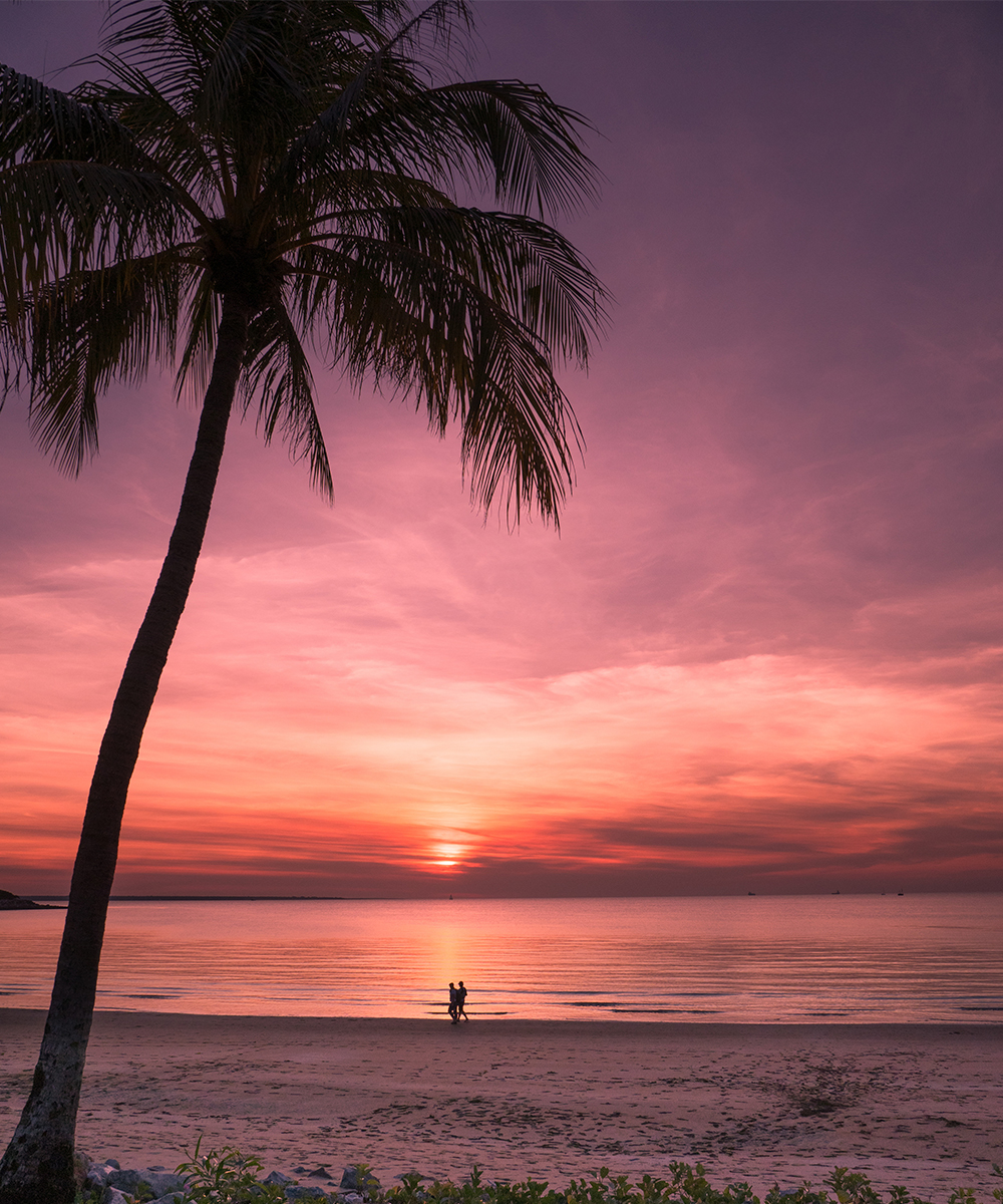 a stunning pink sunset in Darwin across the beach.