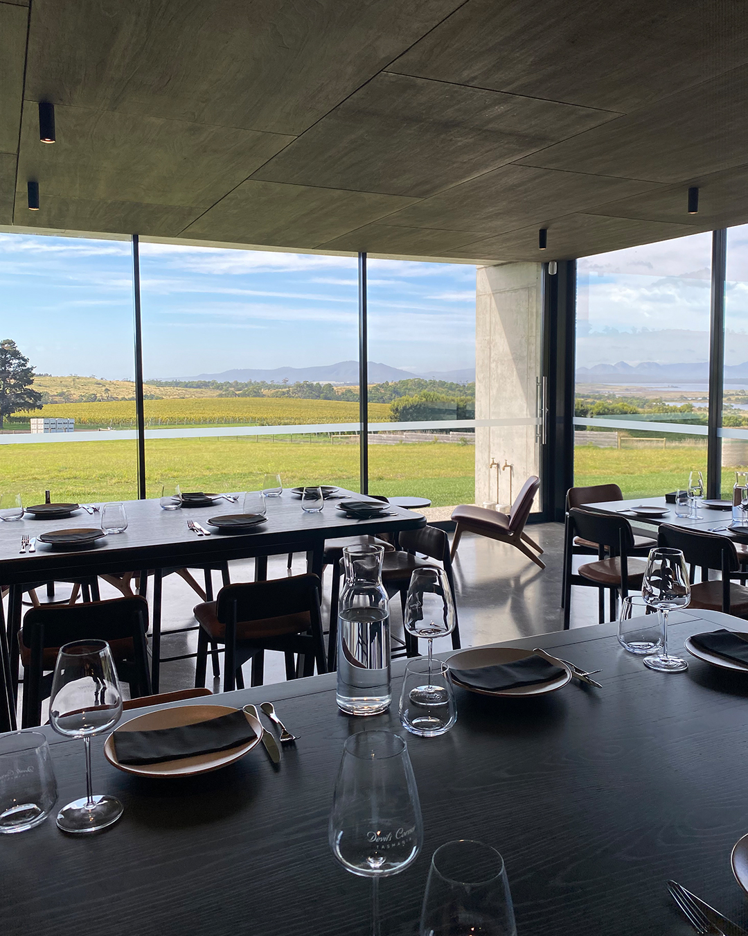 a slick restaurant overlooking a vineyard