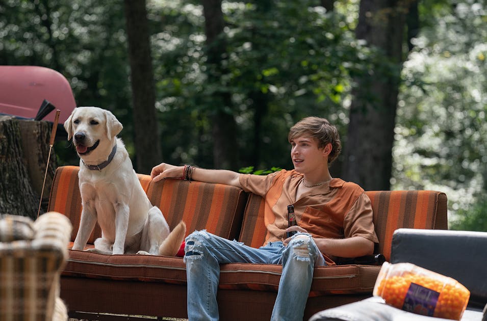 16 Best FeelGood Movies On Netflix NZ URBAN LIST NEW ZEALAND