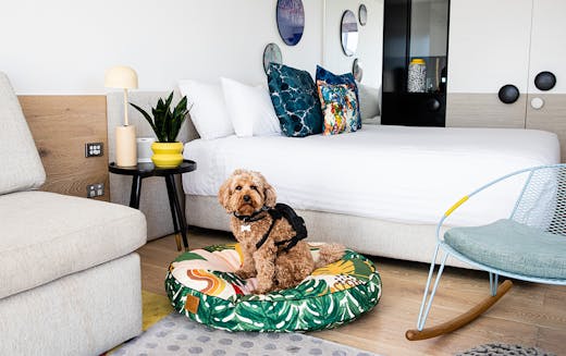 Luxury Pet-Friendly Hotels In Australia - View Retreats