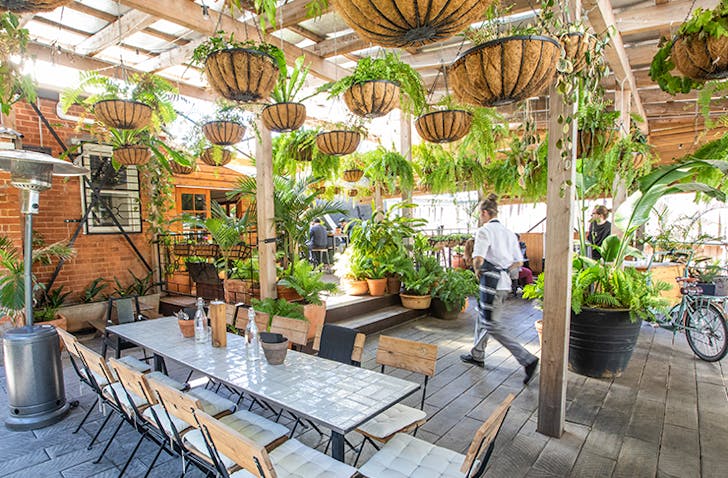 cafe with hanging plants