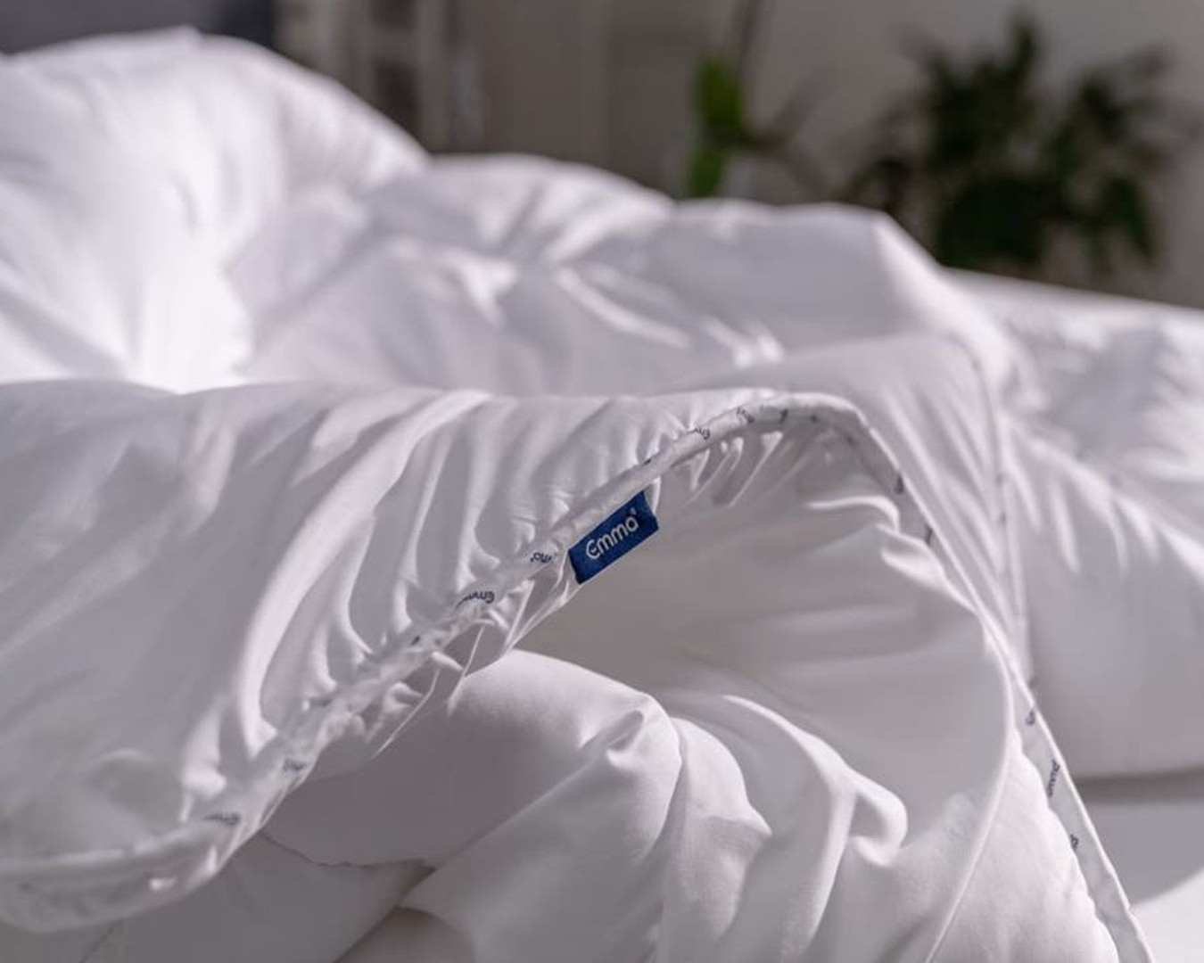 the best doona to buy