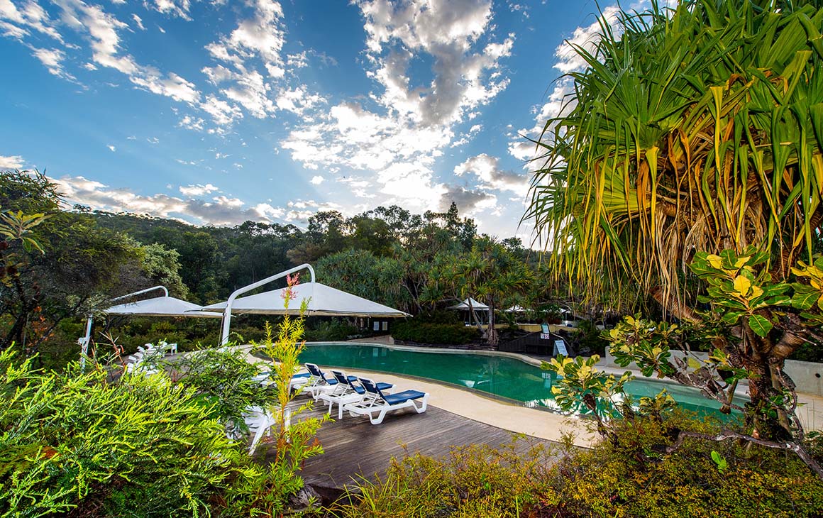 clusters of green palms frame a pool with sun lounges.