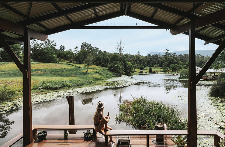 wooden deck overlooking forest pond