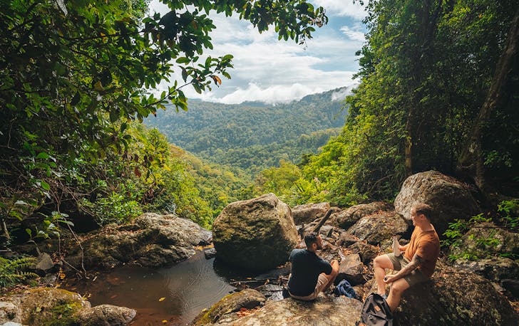 the lush green hinterland of the gold coast