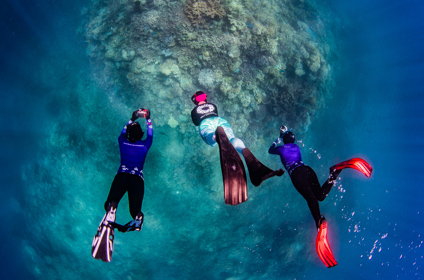 three people diving into the water