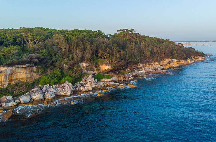 aerial view of coastal headline in sydney