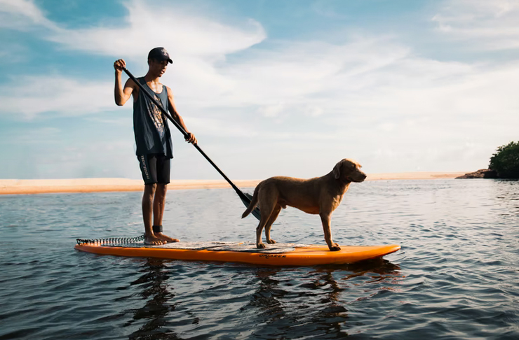 man on paddleboard with dog
