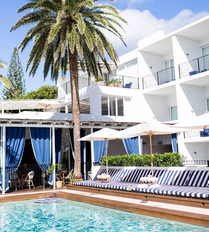 hotel pool surrounded by palm trees and deck chairs