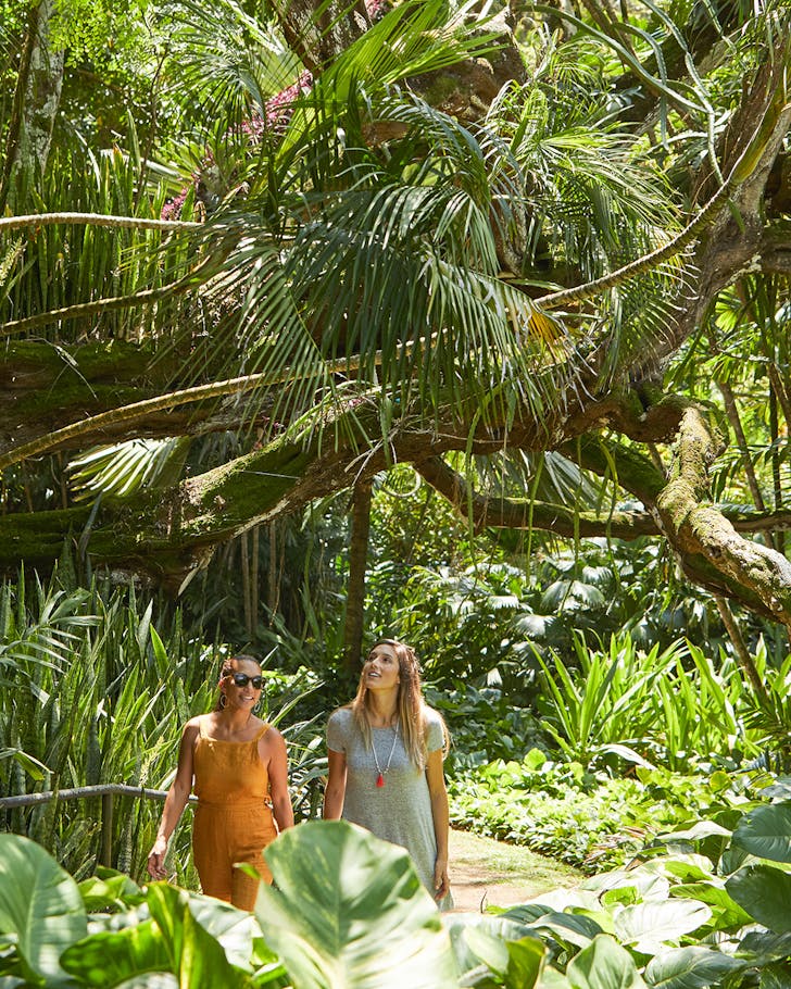 Tap Into Mother Nature At These 3 Stunning Hawaiian Islands | URBAN