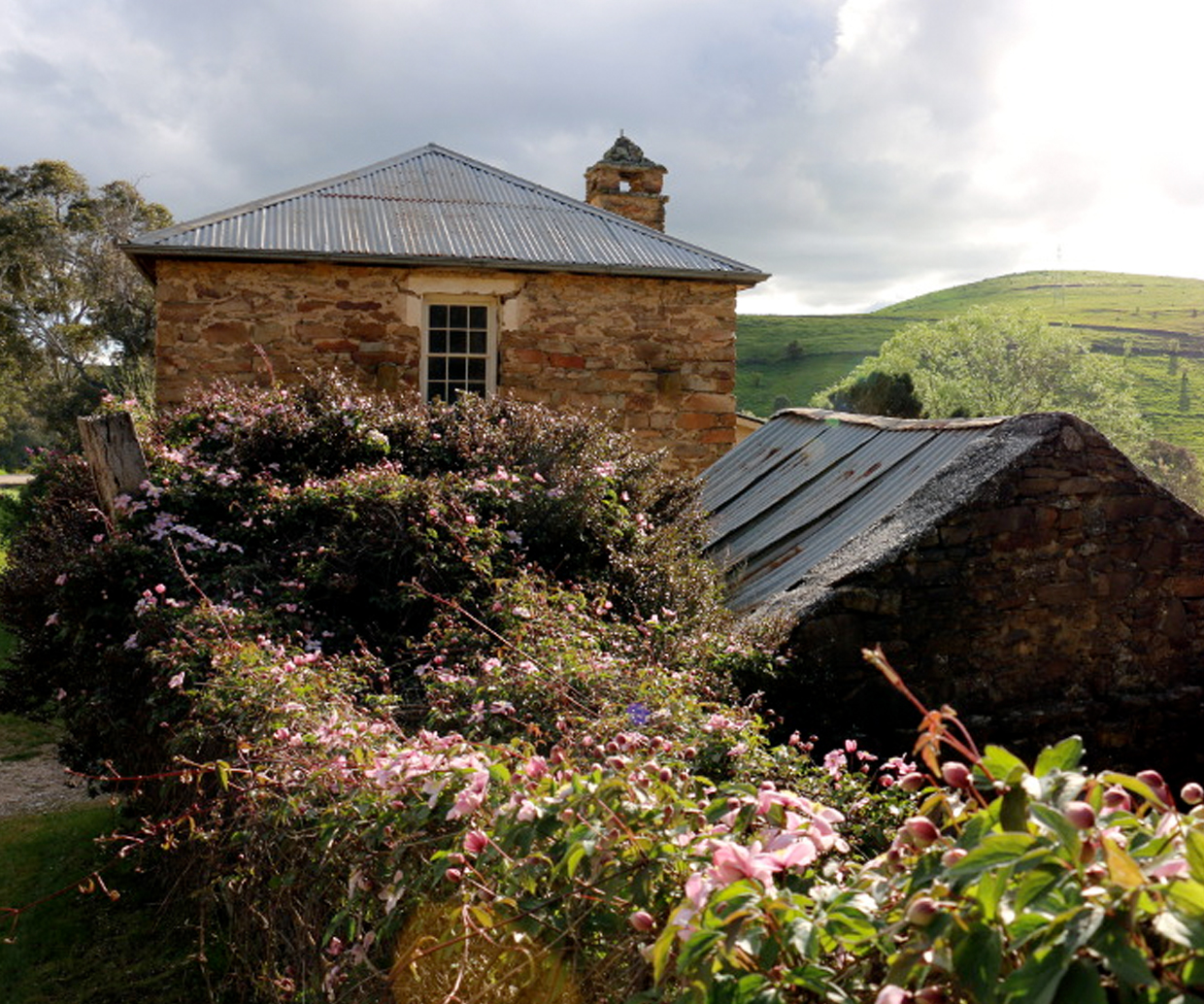 cabin in countryside