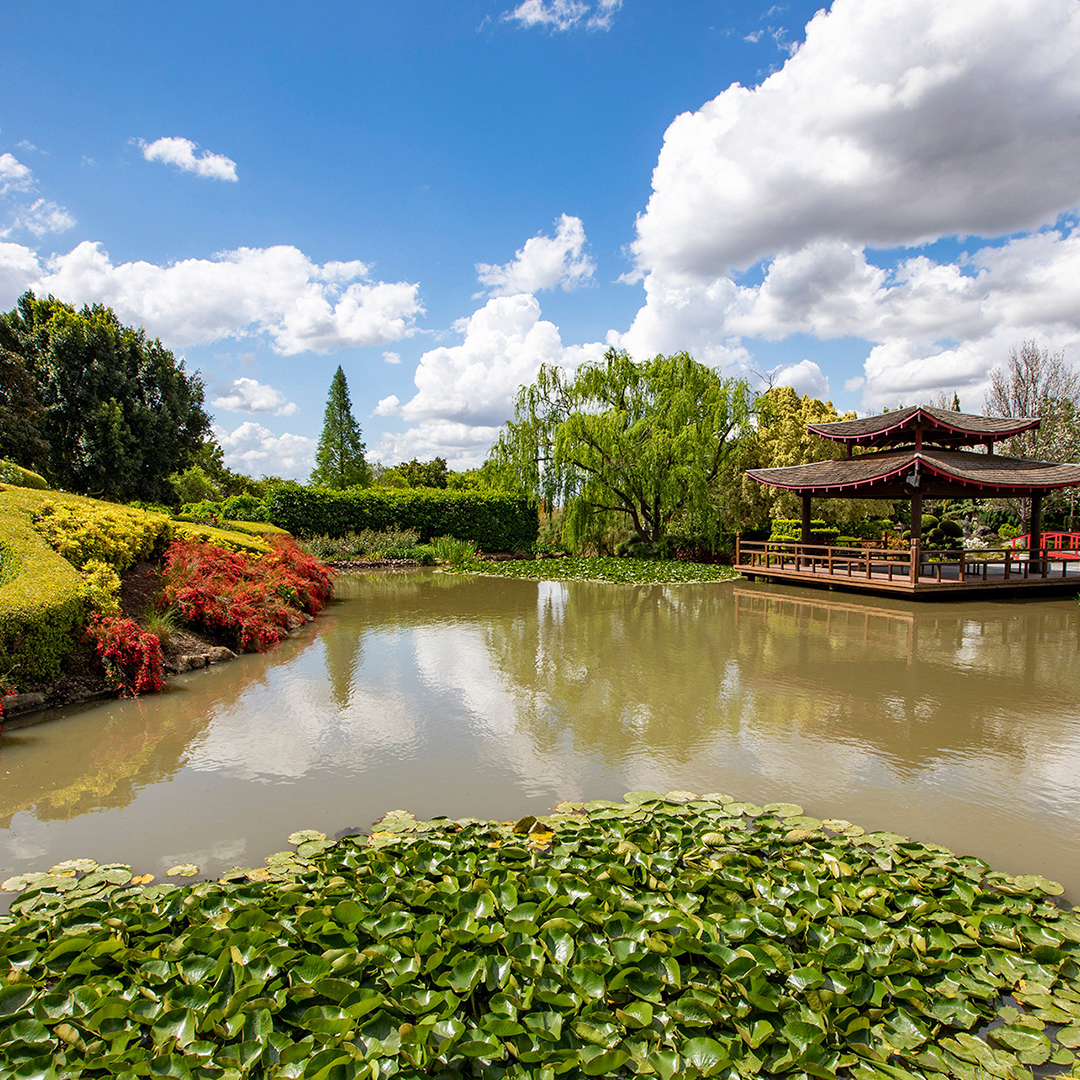 inside hunter valley gardens on sunny day