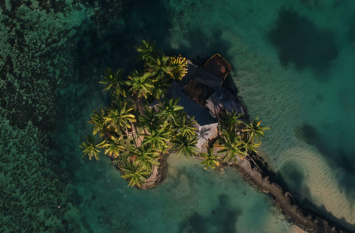 an aerial of an island covered in palm trees