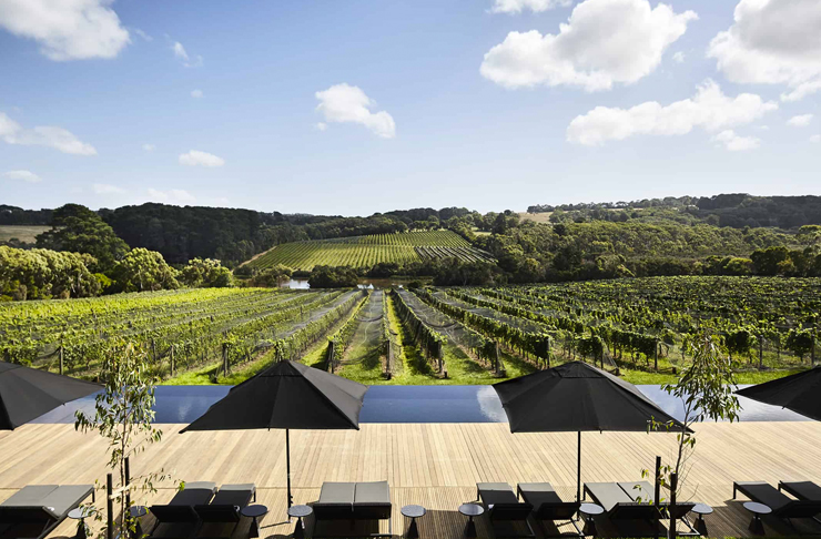 pool overlooking vineyard
