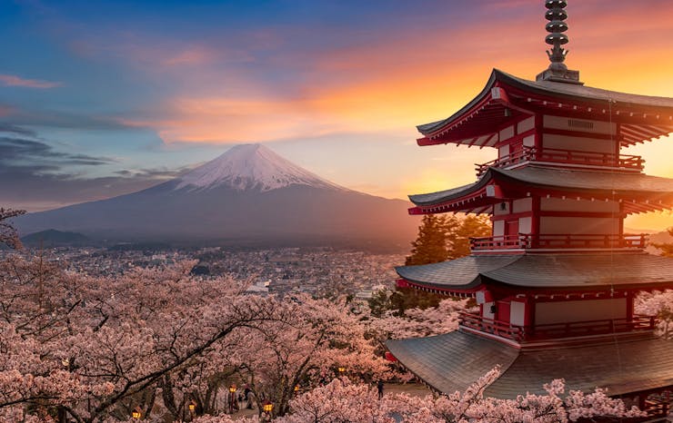 a stunning sunset scene over mt fuji. the forefront is a traditional temple and clusters of pink cherry blossom trees. 