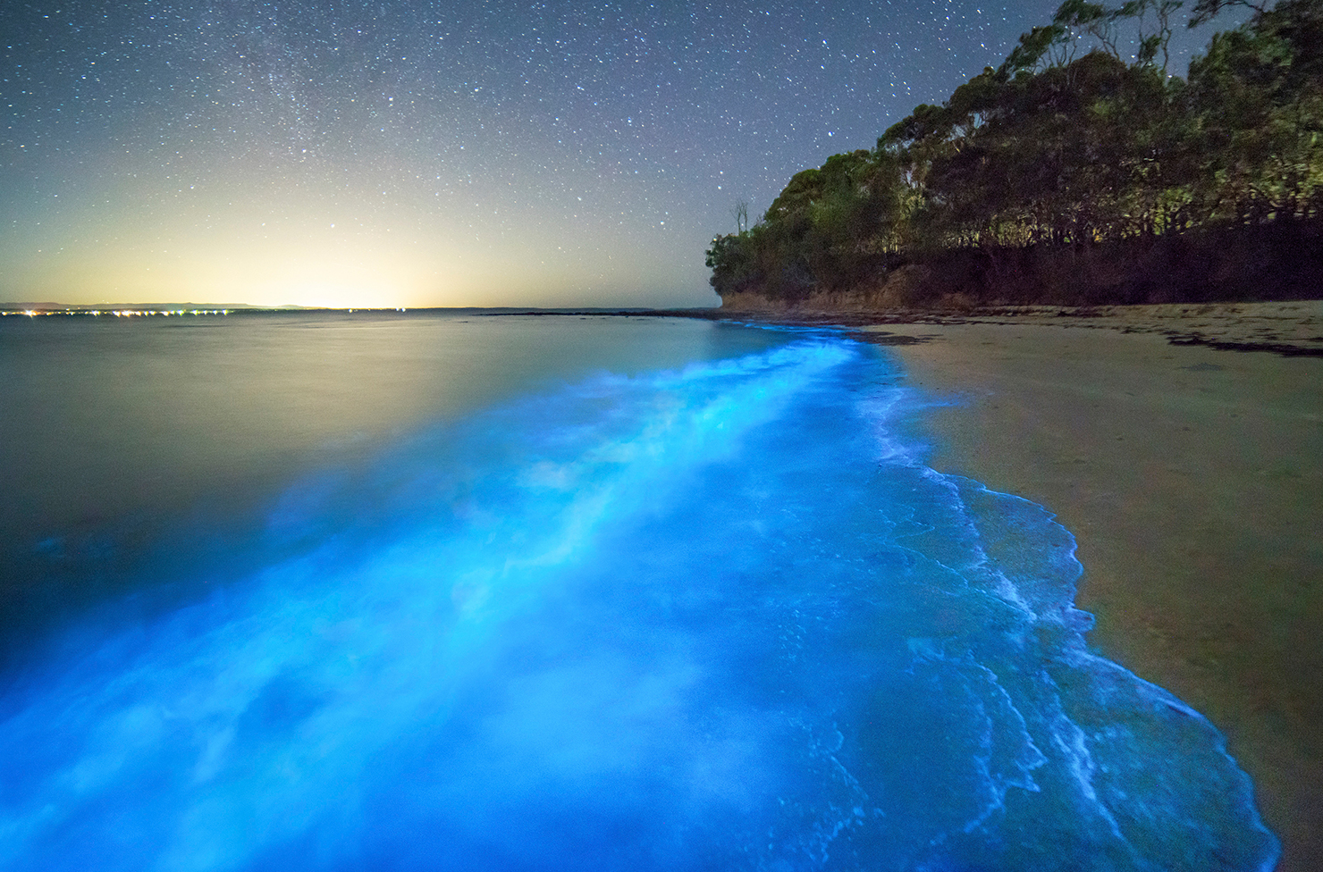 a beach with water lit by bioluminesence