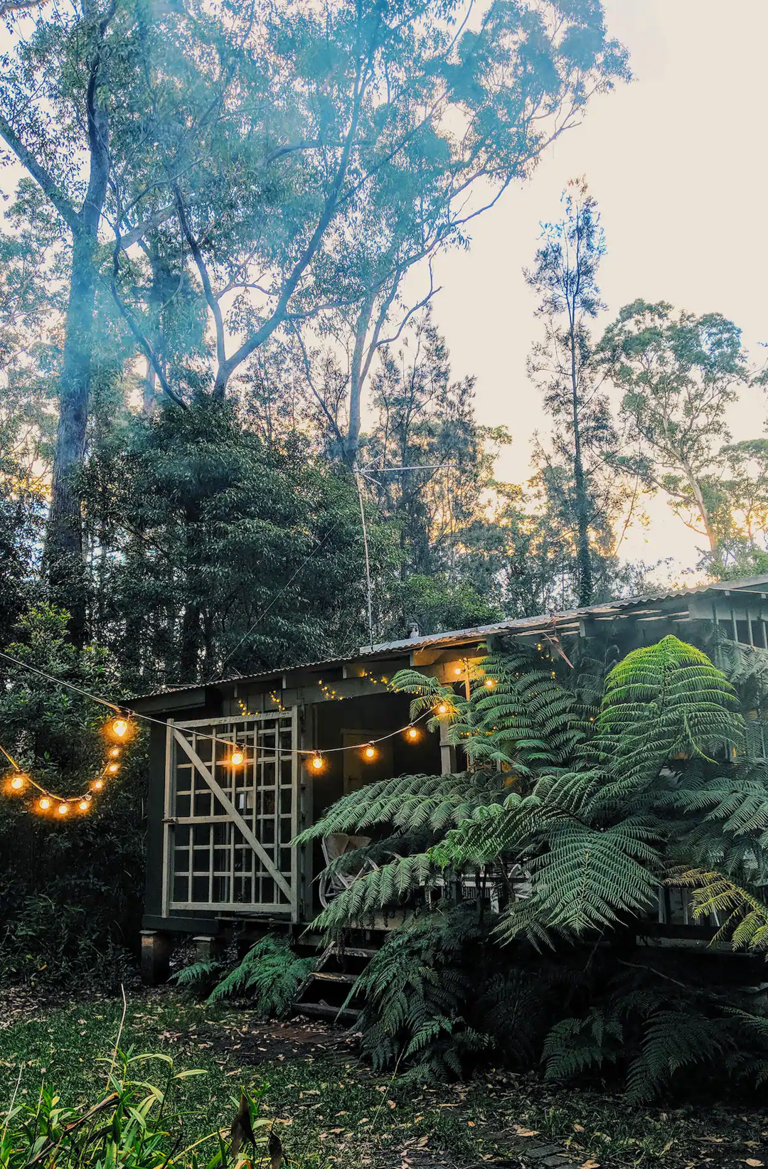 small bush cottage with fairy lights