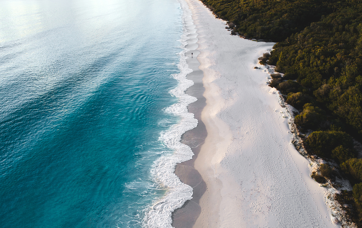 the white sand meets lush greenery in Jervis Bay