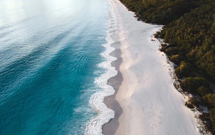the white sand meets lush greenery in Jervis Bay