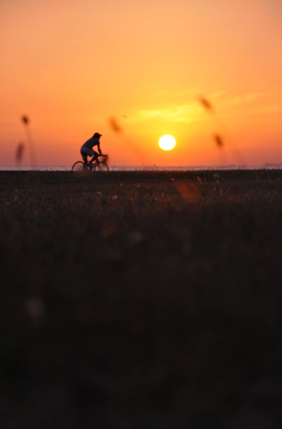 sillohette of man riding bike at sunrise