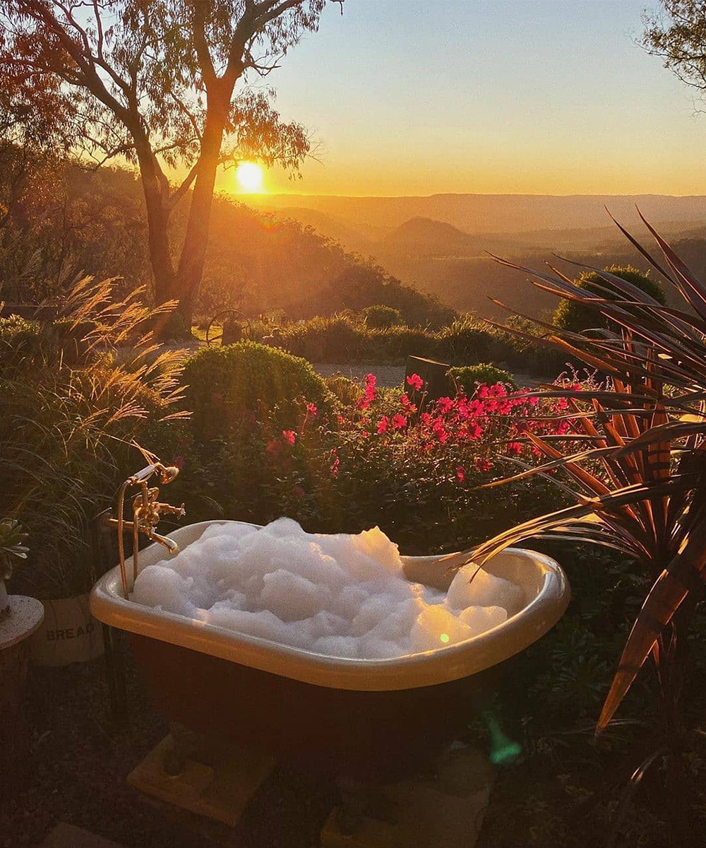 a claw foot bathtub sits in nestled amongst trees and flowers at sunset.