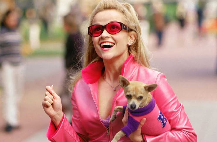Legally Blonde star Elle Woods wears a matching pink jacket and sunglasses, holding a tiny dog. 