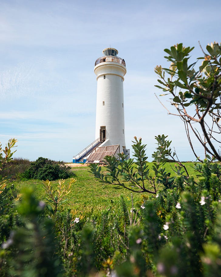 bush view of fingal island's port stephens lighthouse